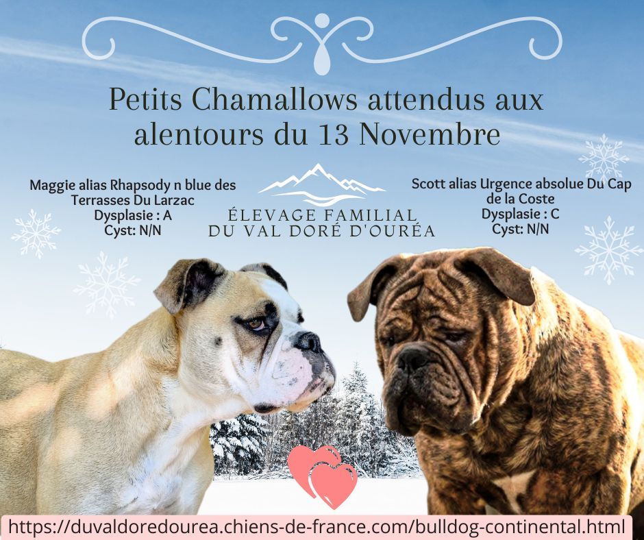 Des Bébés pour le 13 Novembre 2025 !!!!